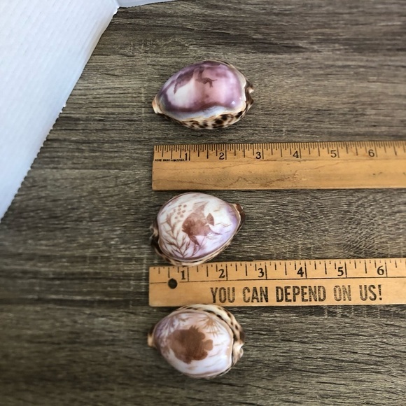 Vtg Hand Carved Cowrie Seashells with Intricate Designs - Picture 12 of 12
